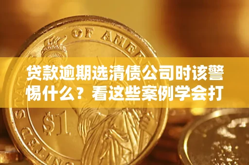 武汉贷款逾期选清债公司时该警惕什么？看这些案例学会打翻身仗