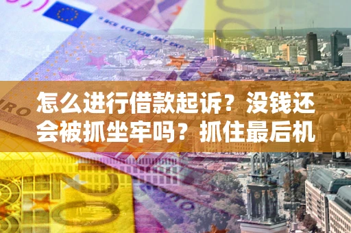 武汉怎么进行借款起诉？没钱还会被抓坐牢吗？抓住最后机会！