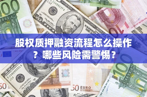 武汉股权质押融资流程怎么操作？哪些风险需警惕？