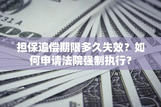 武汉担保追偿期限多久失效？如何申请法院强制执行？