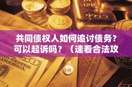 武汉共同债权人如何追讨债务？可以起诉吗？（速看合法攻略）