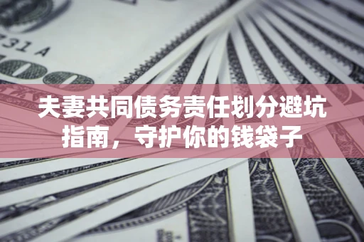 武汉夫妻共同债务责任划分避坑指南，守护你的钱袋子