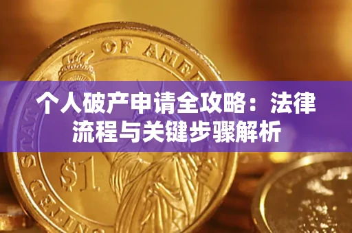 武汉个人破产申请全攻略：法律流程与关键步骤解析